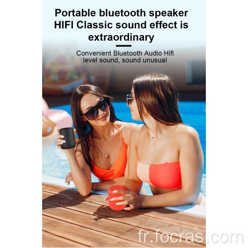 Haut-parleur bluetooth rechargeable facile à transporter avec le haut-parleur